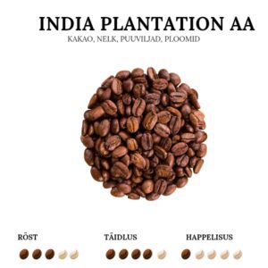 India Plantation AA Bababudangiri kvaliteetkohv
