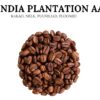 India Plantation AA Bababudangiri kvaliteetkohv