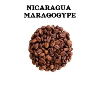 Nicaragua Maragogype kvaliteetkohv
