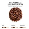 Nicaragua Maragogype kvaliteetkohv