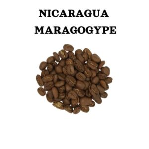 Nicaragua Maragogype kvaliteetkohv
